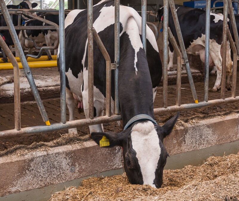 Laag btw-tarief vervalt voor agrarische goederen
