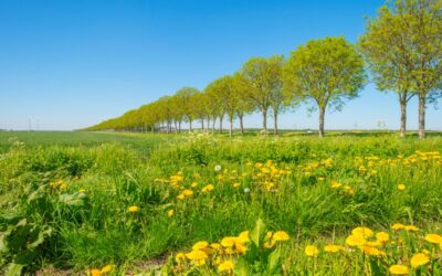 Toestemming gebruik grond en landschapselementen