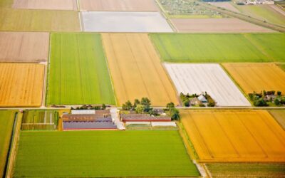 Gewassen op bouwland roteren 2025
