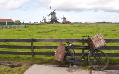 Regelgeving scheuren grasland