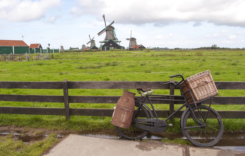 Regelgeving scheuren grasland