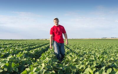 Openstelling vestigingssteun jonge landbouwers op 28 april