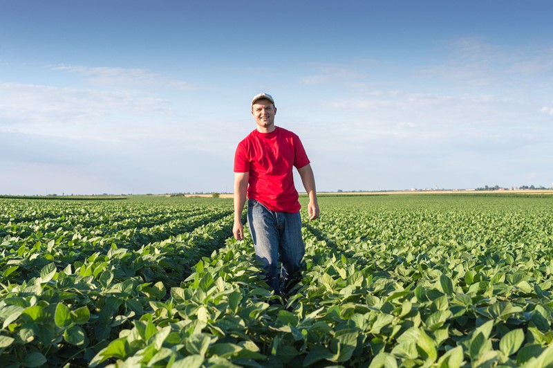 Openstelling vestigingssteun jonge landbouwers op 28 april