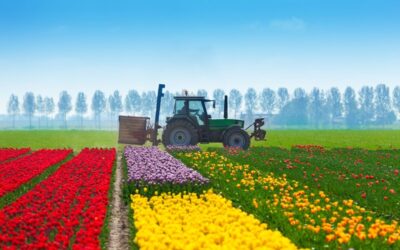 Hof: verpachter niet aansprakelijk voor schade aan gewas