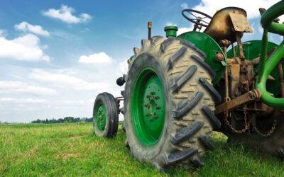 Subsidieregeling behoud grasland opengesteld
