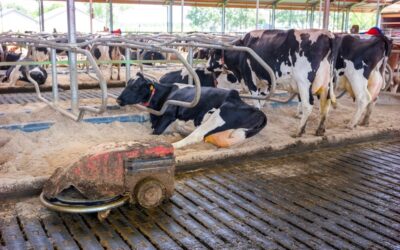Convenant en AMvB dierwaardige veehouderij