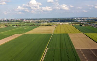 CBb: terugvordering GLB-subsidie terecht