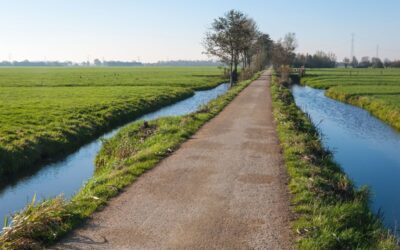 Extra maatregelen voor betere waterkwaliteit