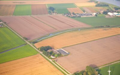 CBb: perceel groene braak terecht afgekeurd voor eco-regeling