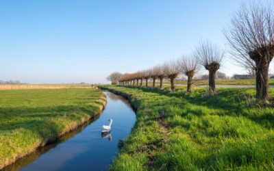 Deelname ANLb-subsidie tijdig aanvragen