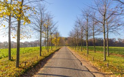 Kabinet presenteert Ontwerp-Nota Ruimte