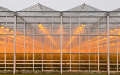 Nieuwe milieuregels voor glastuinbouwbedrijven vanaf 2026