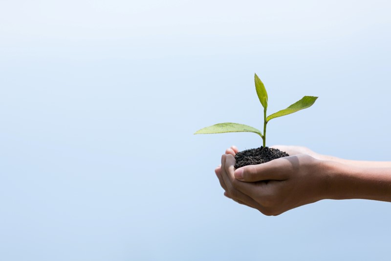 Bemonstering fosfaattoestand percelen blijft zinvol