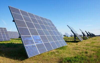 Geen landbouwvrijstelling voor percelen met zonnepanelen