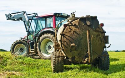 Aanvullende acties mest nodig?