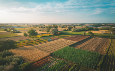 Wetsvoorstel herziening pachtregelgeving ter inzage gelegd