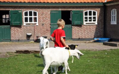 Invoering afstandsnorm rondom geitenhouderijen