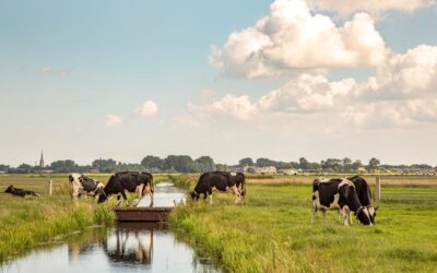 Bezwaar tegen vastgestelde GLB-premie kan tot terugbetaling leiden