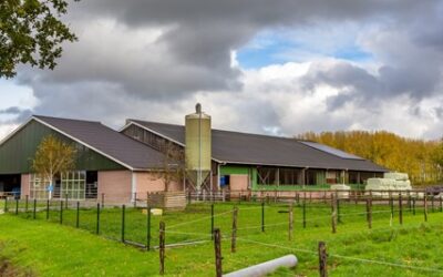 Veel mestregels blijven na vervallen derogatie bestaan