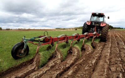 Regelgeving scheuren grasland