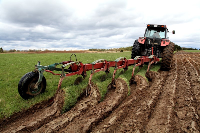 Regelgeving scheuren grasland