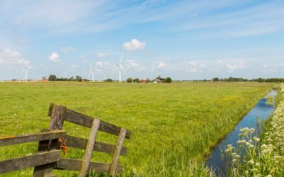 GLB-subsidies en noemenswaardige hinder landbouwactiviteiten