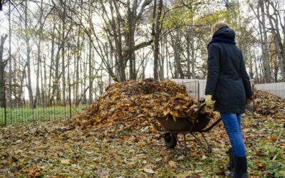 NVWA controleert op vervoer van compost