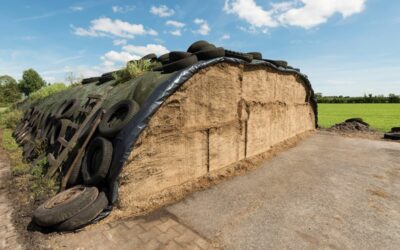 Inkuilen op open grond niet meer toegestaan