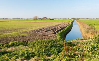 Rechtbank: verplichte bufferstroken zijn rechtmatig