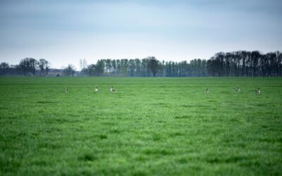 Rechtbank: perceel is geen landbouwgrond, maar natuurterrein