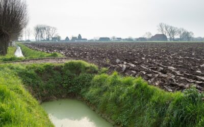 GLB: minimale bodembedekking bouwland op kleigrond