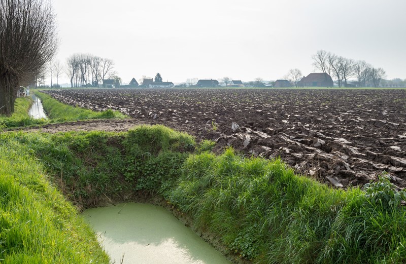 GLB: minimale bodembedekking bouwland op kleigrond