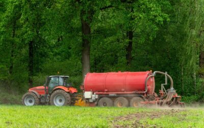 Droogtemaatregelen: verlenging uitrijdperiode mest, versoepeling GLB-voorwaarden