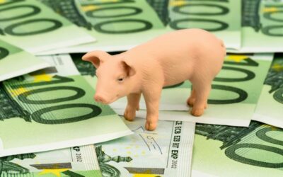 Subsidie voor verbetering leefklimaat dieren