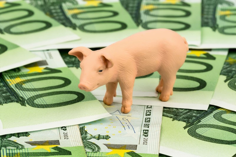 Subsidie voor verbetering leefklimaat dieren