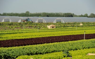 Stand van zaken herziening pachtwetgeving