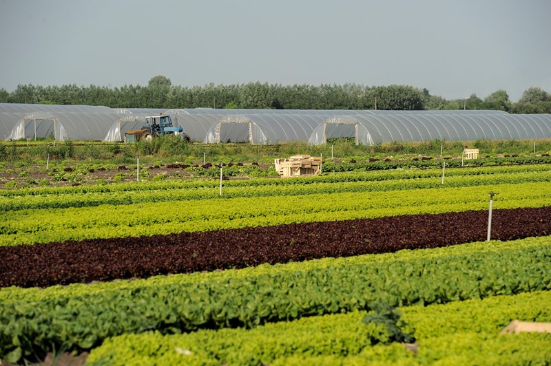 Stand van zaken herziening pachtwetgeving